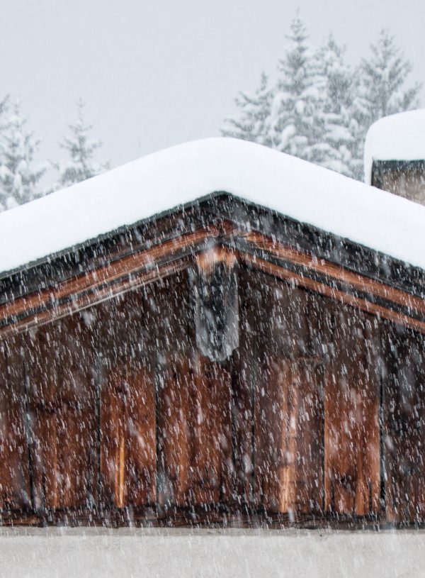 Schneefrei – Powder Season is on!